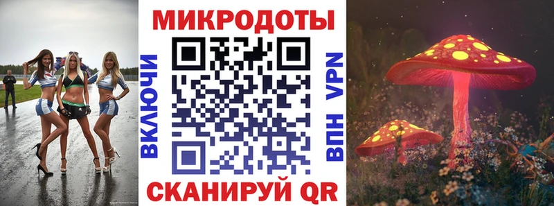 продажа наркотиков  darknet официальный сайт  Галлюциногенные грибы Psilocybine cubensis  Костомукша  ОМГ ОМГ зеркало 